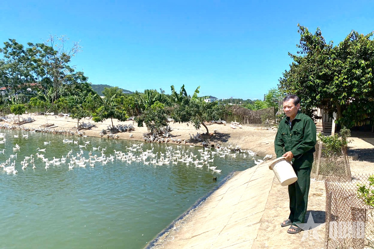 Làm giàu trên đồng đất quê hương