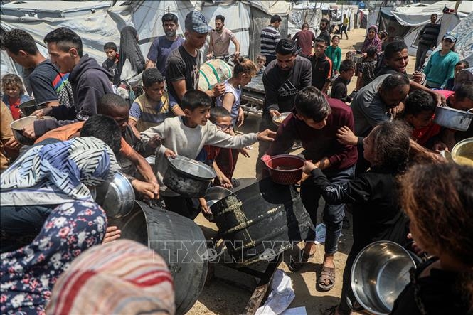 Xung đột Hamas - Israel: Mỹ đề xuất kế hoạch 21 điểm cho hòa bình tại Gaza