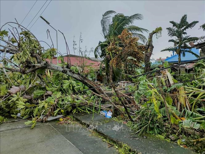 Ít nhất 4 người thiệt mạng khi bão Bualoi càn quét Philippines