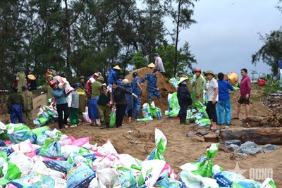 Gallery - Quân dân Hà Tĩnh huy động tổng lực ứng phó bão số 10