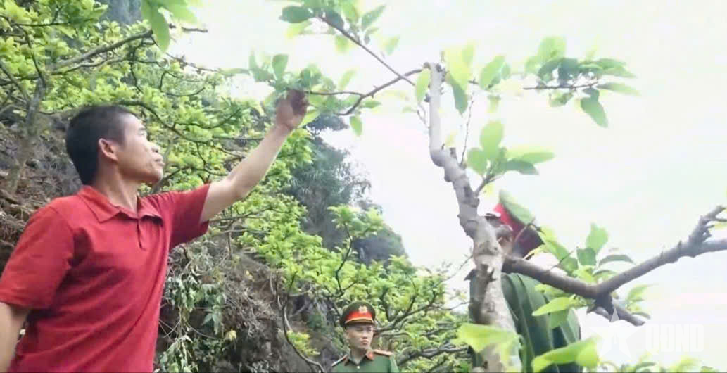 Thực hiện chính sách tín dụng cho người chấp hành xong án phạt tù tại Lạng Sơn 