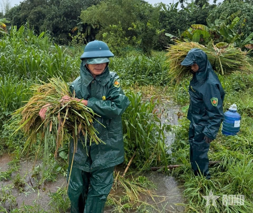 Quảng Trị: Bộ đội, dân quân sẵn sàng ứng phó với bão số 10