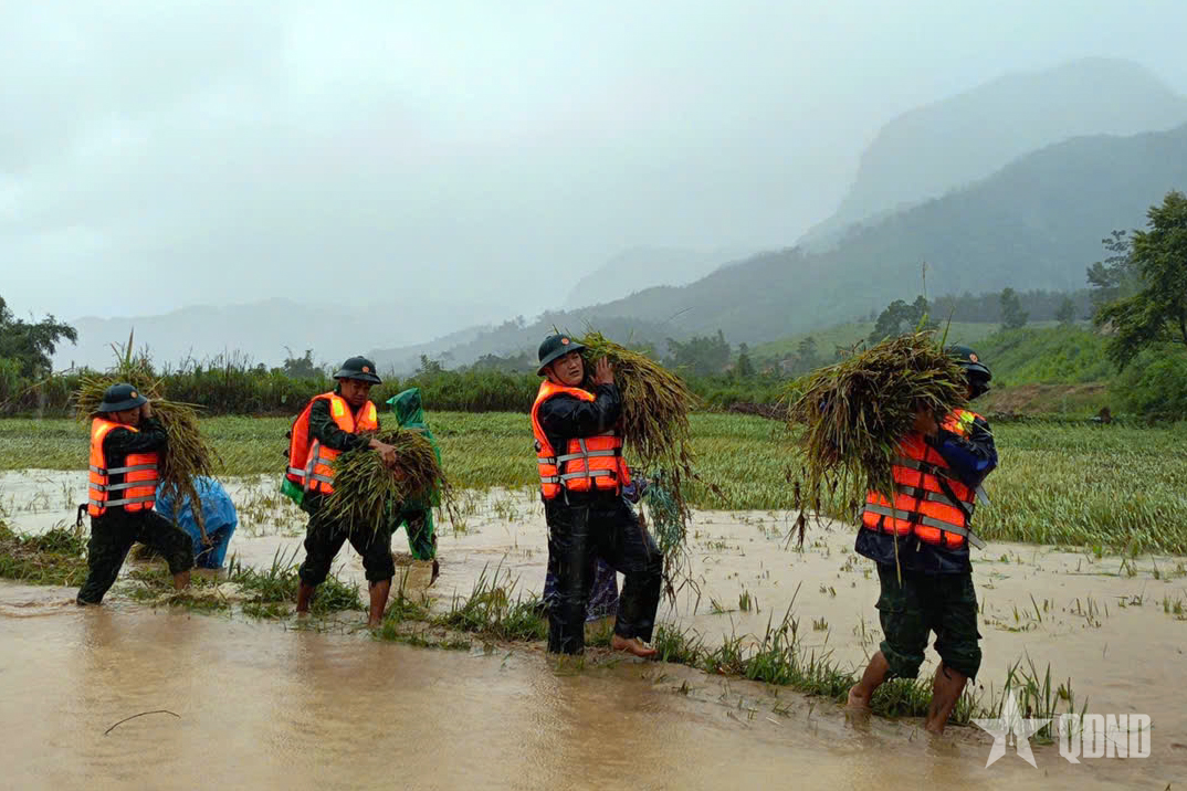 Bộ đội Biên phòng TP Huế hỗ trợ nhân dân ứng phó bão số 10