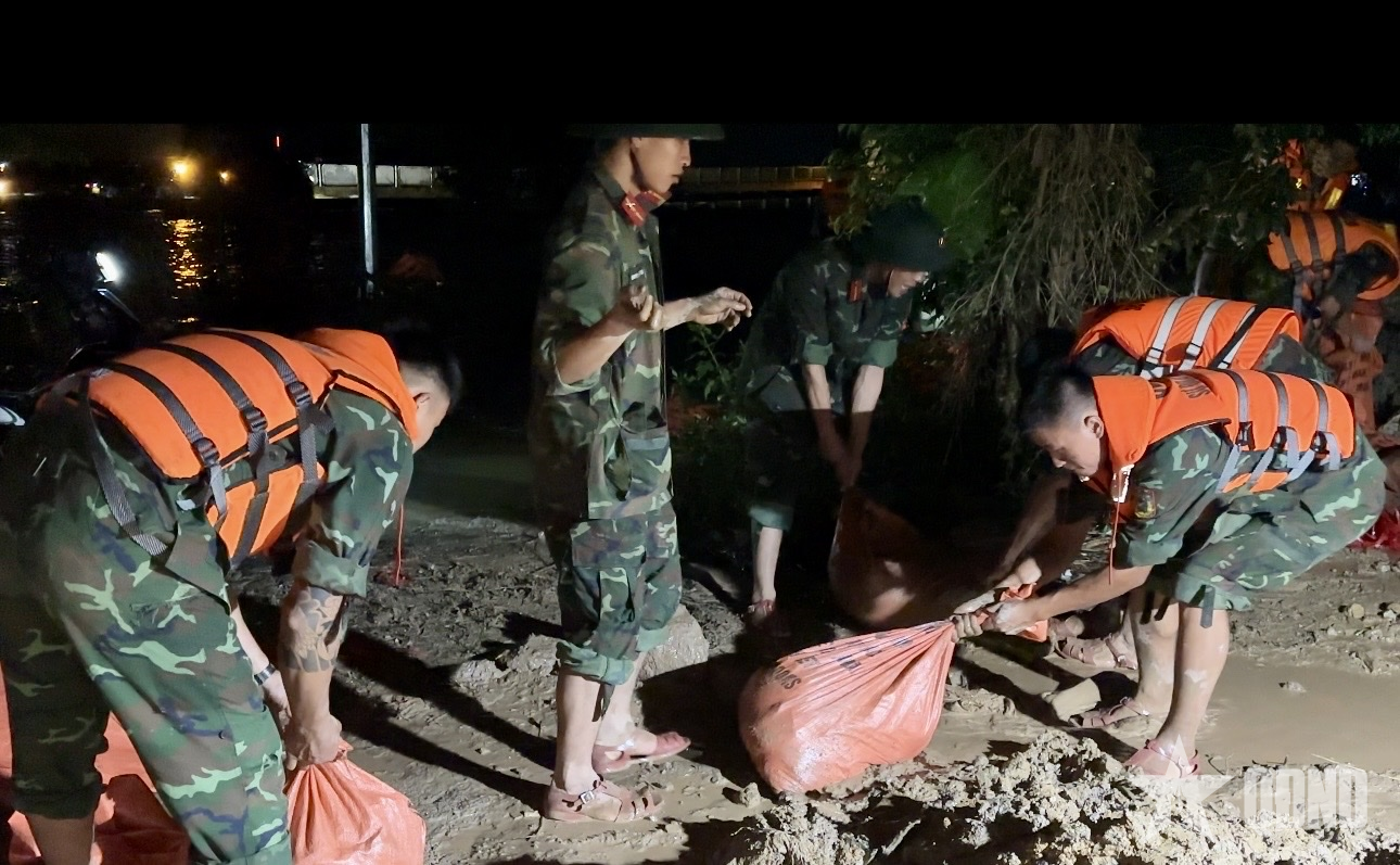 Thanh Hóa: Hơn 200 cán bộ, chiến sĩ Sư đoàn 390 gia cố đê trong đêm