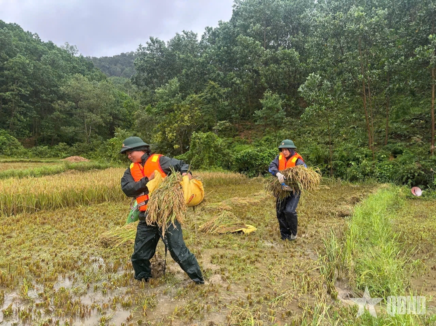 Những "ngôi sao xanh" ấm lòng dân bản