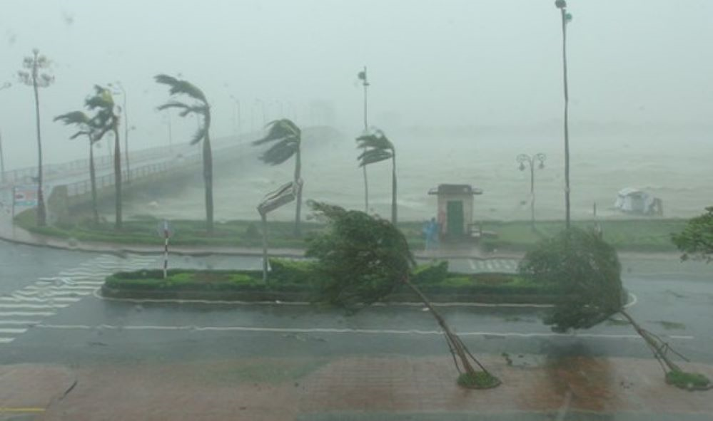 Thời tiết hôm nay (5-10): Bão số 11 (Matmo) giật cấp 15, biển động dữ dội