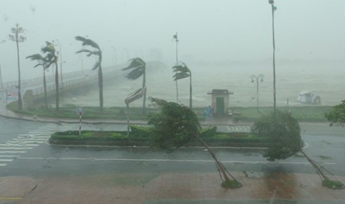 Thời tiết hôm nay (5-10): Bão số 11 (Matmo) giật cấp 15, biển động dữ dội