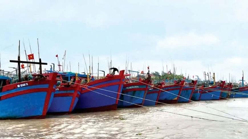 14 tỉnh, thành phía Bắc gấp rút ứng phó bão số 11: Tránh tâm lý chủ quan