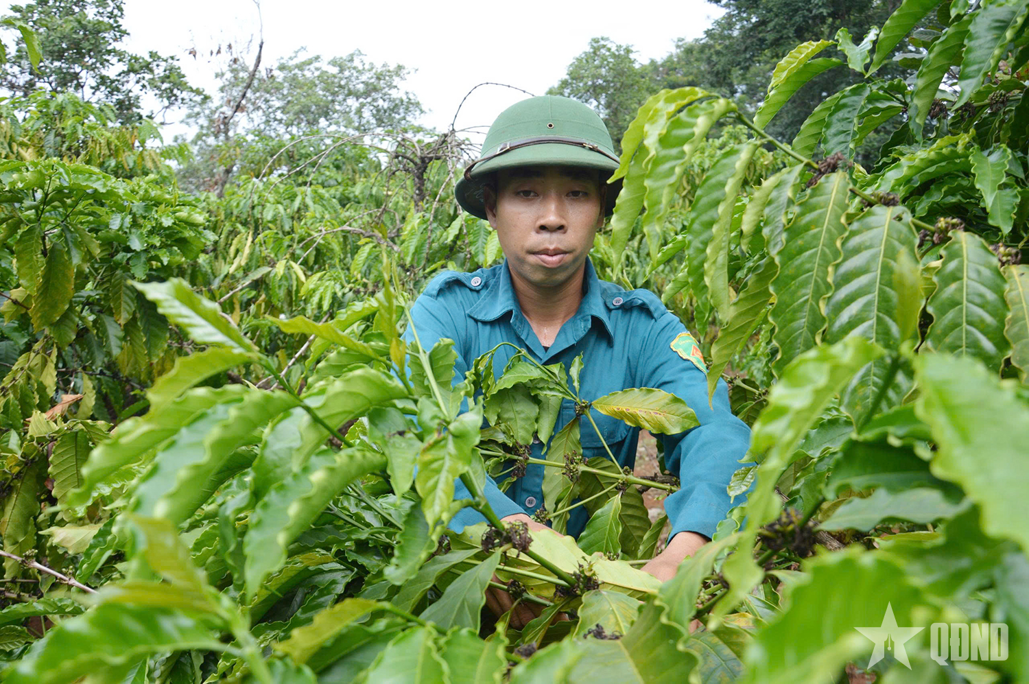Bùi Mai Ngọc - Chiến sĩ sao vuông làm theo lời Bác

