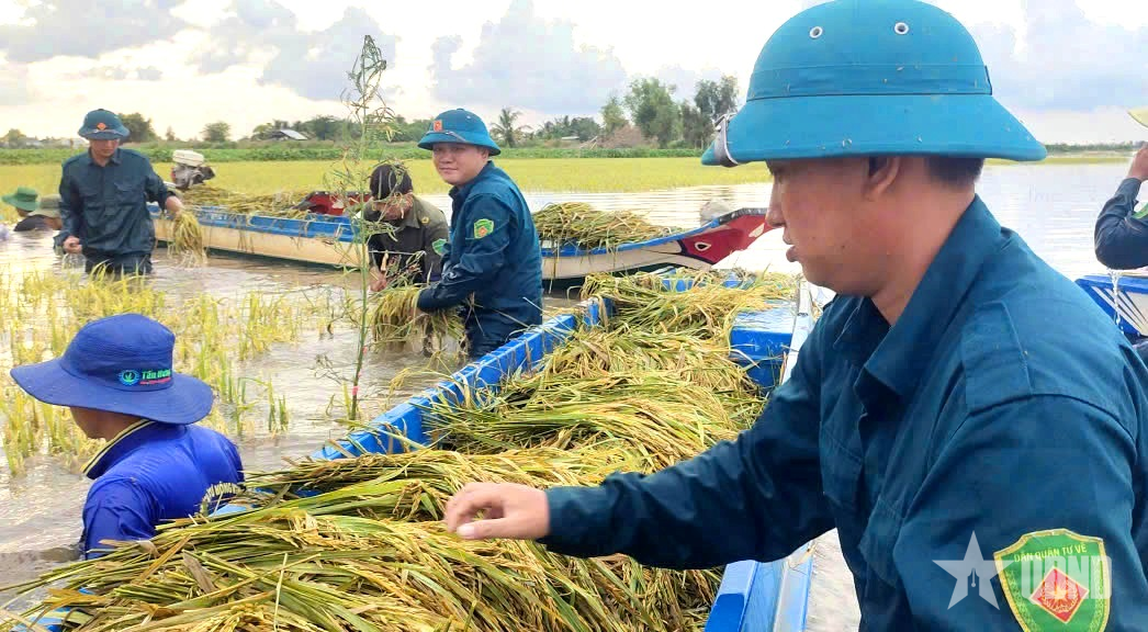 LLVT tỉnh Tây Ninh: Không ngại vất vả giúp dân lúc nguy nan
