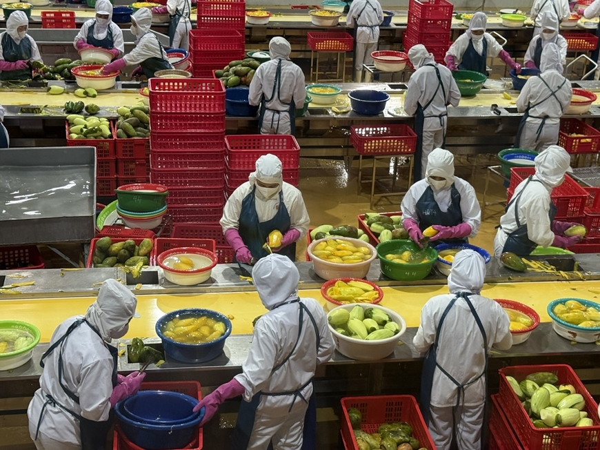 Sắp diễn ra Tuần lễ Nông sản Việt 2025 tại trung tâm Hà Nội