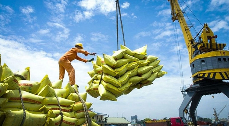 Bản tin nông sản hôm nay (16-10): Giá cà phê giảm, hồ tiêu tăng