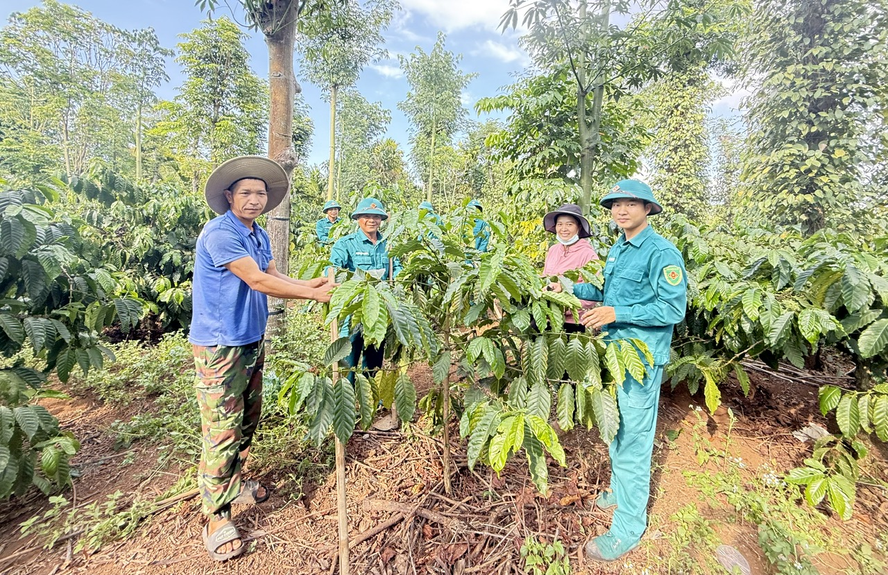 Đắk Phơi tạo đột phá trong giảm nghèo bền vững