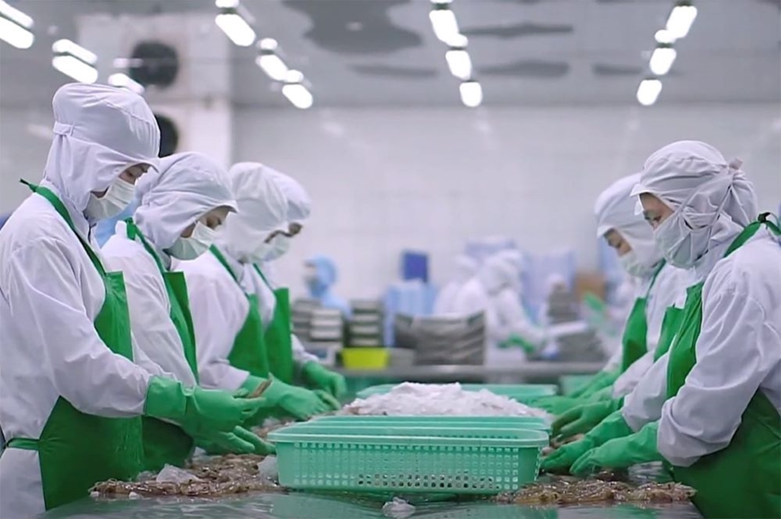 Xuất khẩu nông, lâm, thủy sản năm 2025: Vượt thách thức, khai thác dư địa tăng trưởng Xuất khẩu nông, lâm, thủy sản năm 2025: Vượt thách thức, khai thác dư địa tăng trưởng