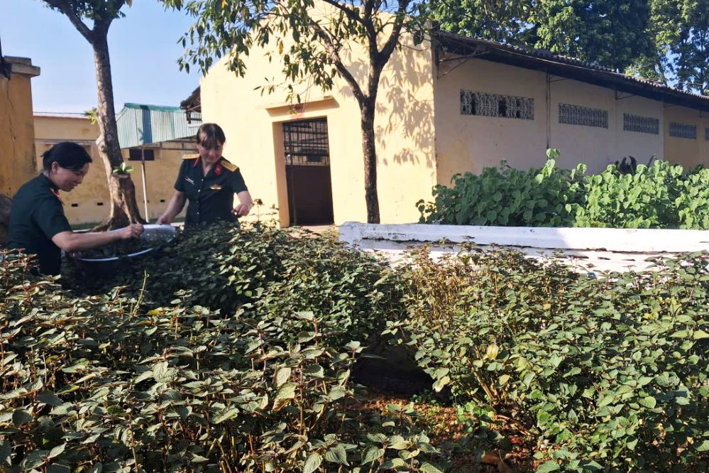 Vỏ trứng rất hữu dụng