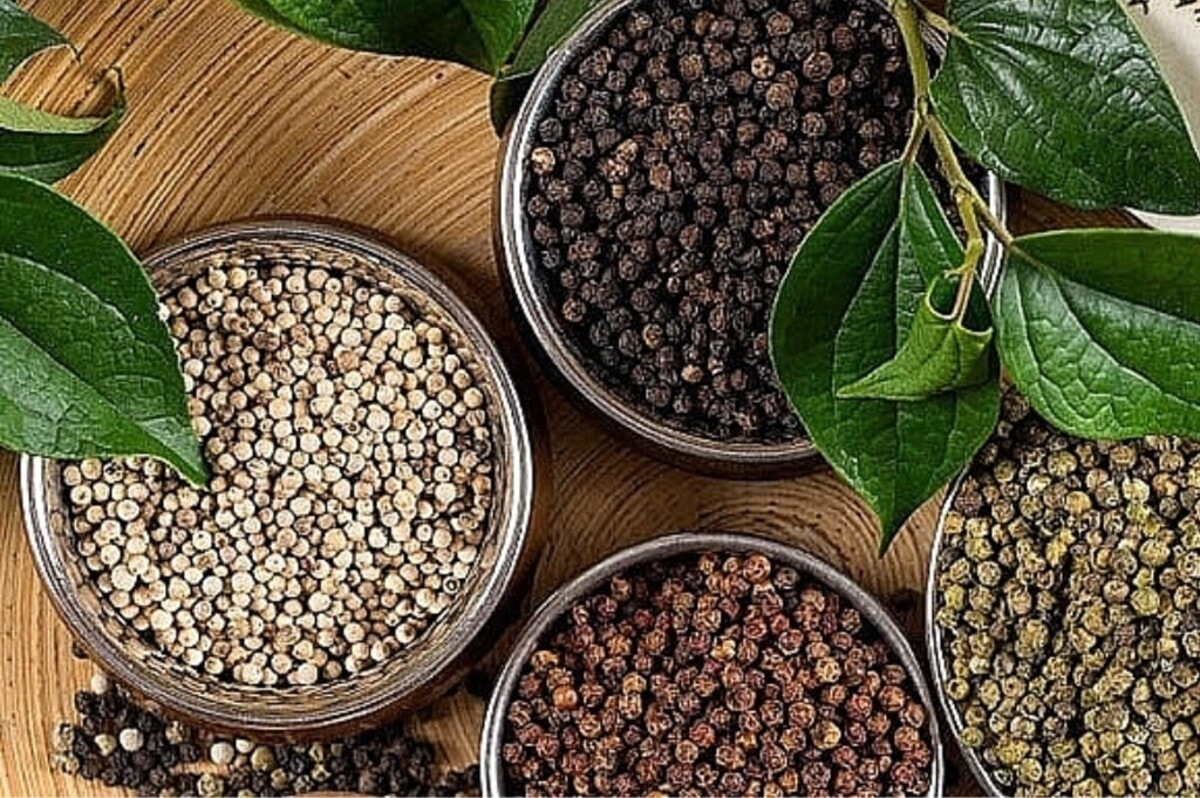 Bản tin nông sản hôm nay (21-10): Giá hồ tiêu tăng nhẹ