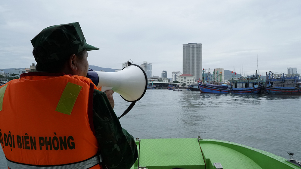 Đà Nẵng: Chủ tịch UBND xã, phường chủ động quyết định cho học sinh nghỉ học để ứng phó với bão số 12