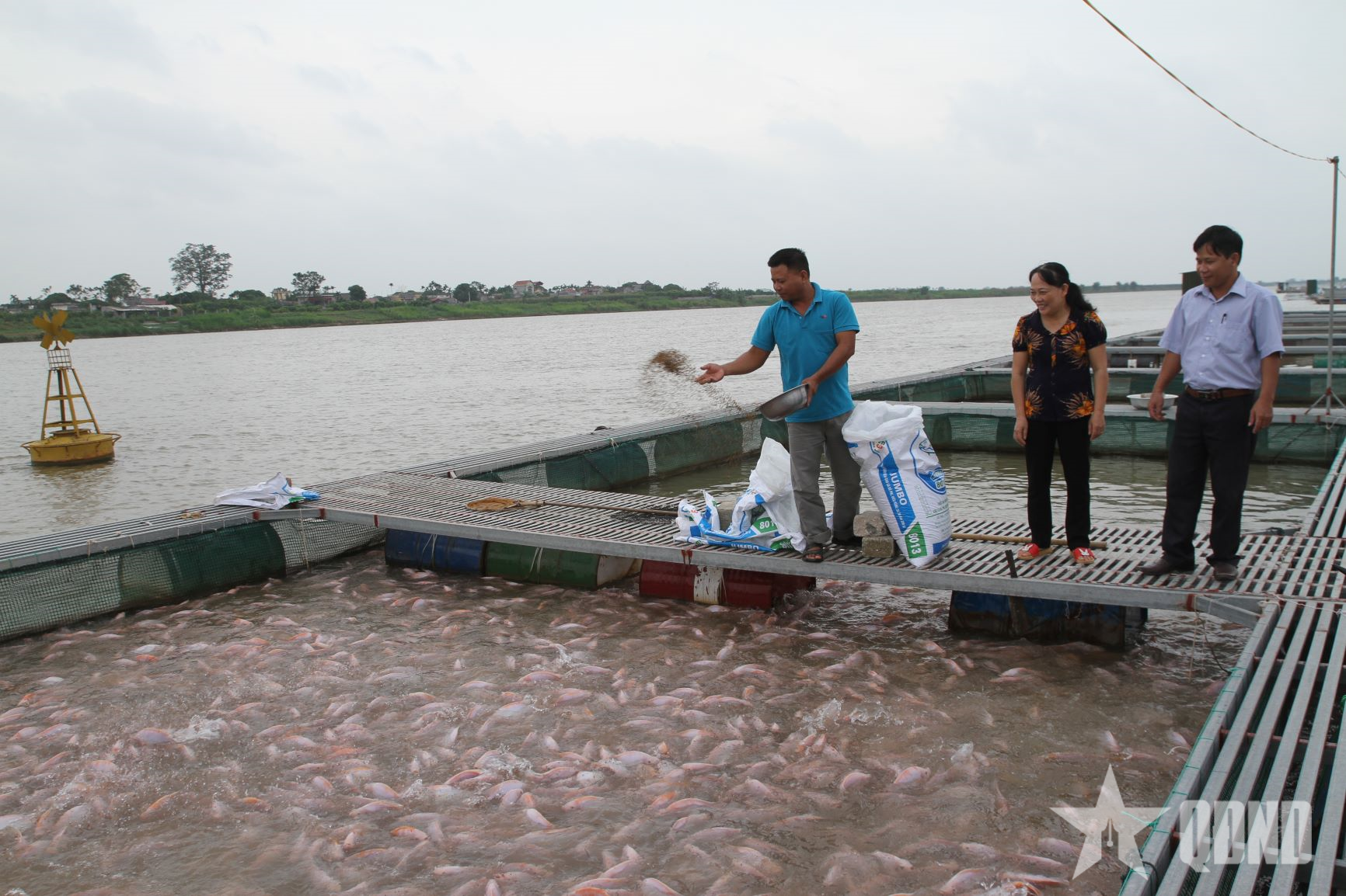 Nâng giá trị nông sản bằng tư duy thị trường