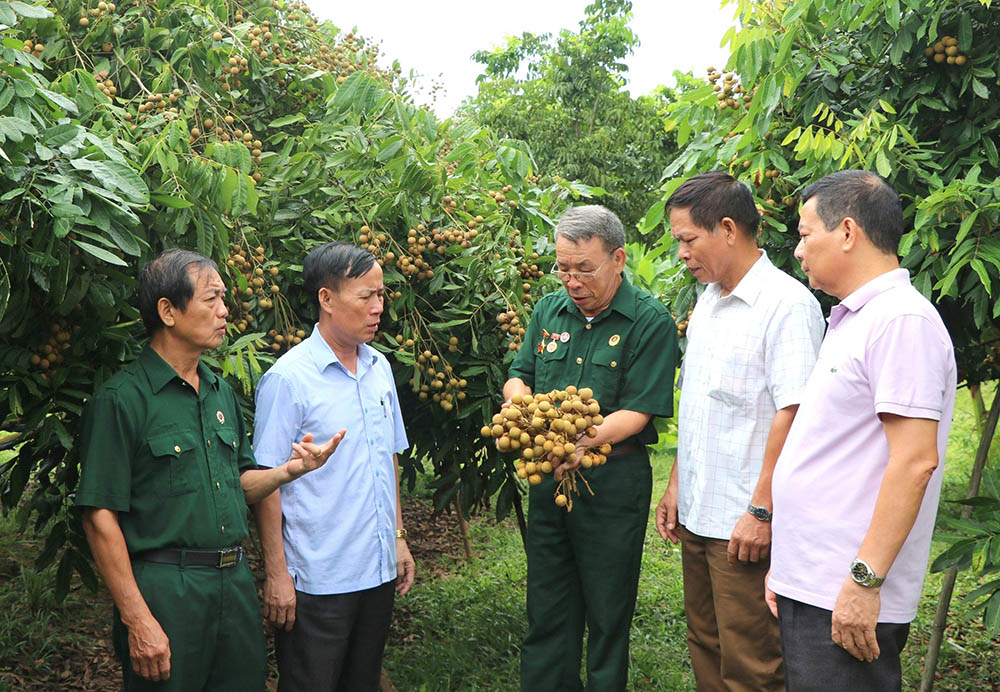 Phát huy vai trò đảng viên cao tuổi ở cơ sở-Thêm gắn kết cộng đồng, nhân lên niềm tin: Bài 1: Nhân dân lắng nghe và nể trọng