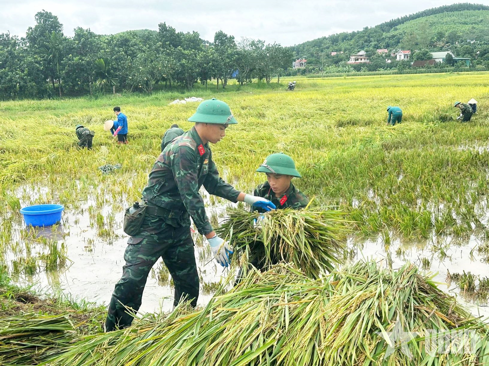 Hỗ trợ quân nhân điều trị vô sinh, hiếm muộn: Chính sách đầy nhân văn và ý nghĩa