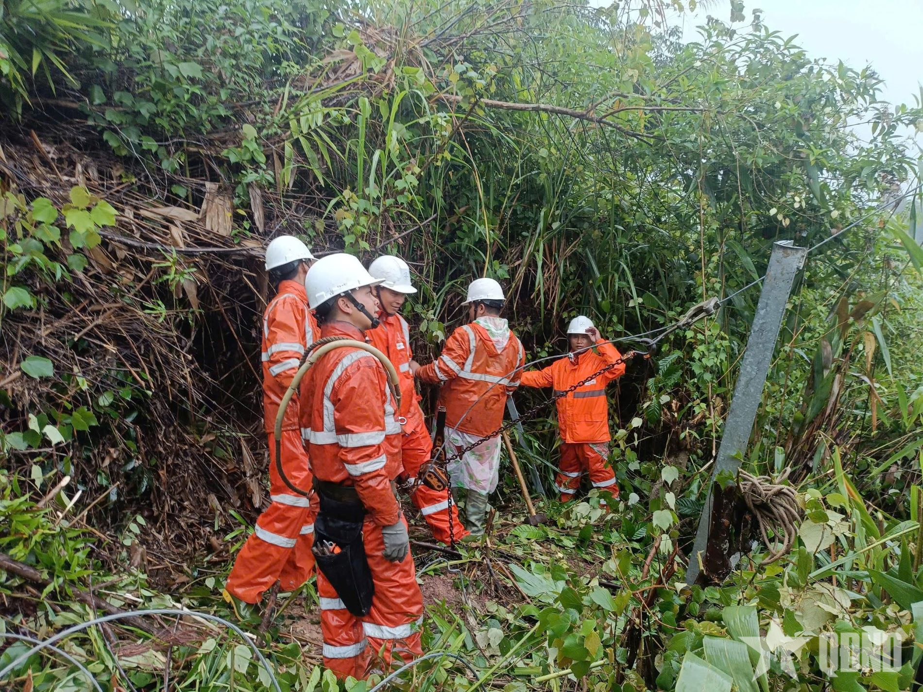 Thợ điện Đà Nẵng đồng hành cùng người dân vùng lũ