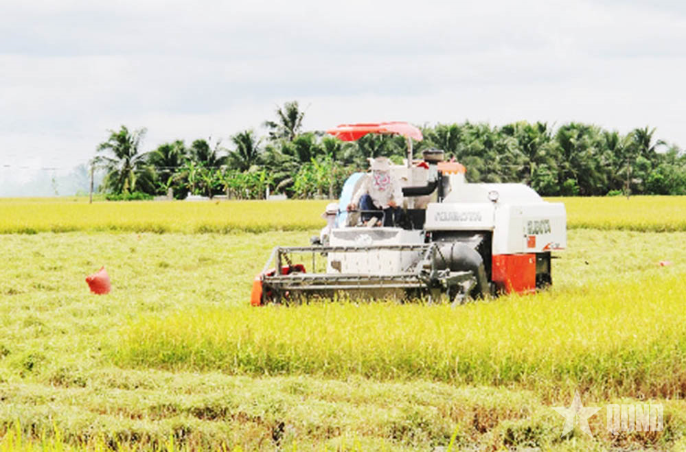 Đồng Nai: Hành động quyết liệt, sáng tạo, cụ thể để hiện thực hóa nghị quyết