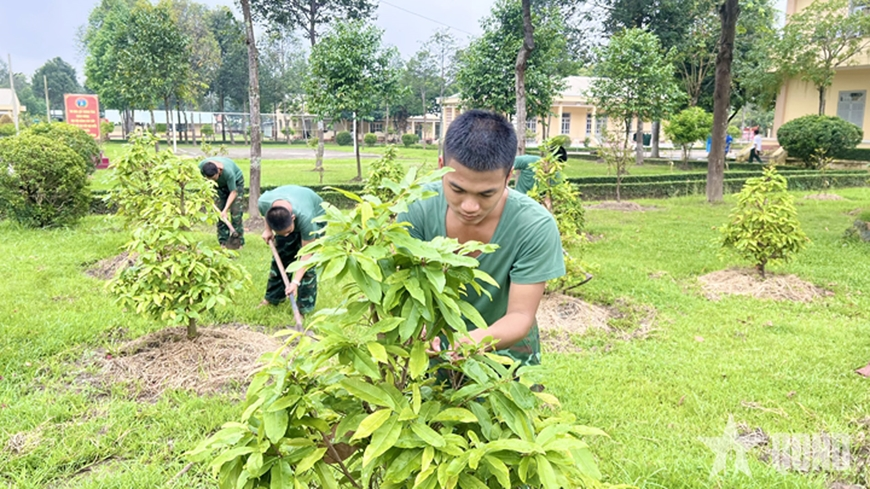 Hoa mai ở Sư đoàn 9 (Quân đoàn 34): Doanh trại sáng, xanh, sạch, đẹp