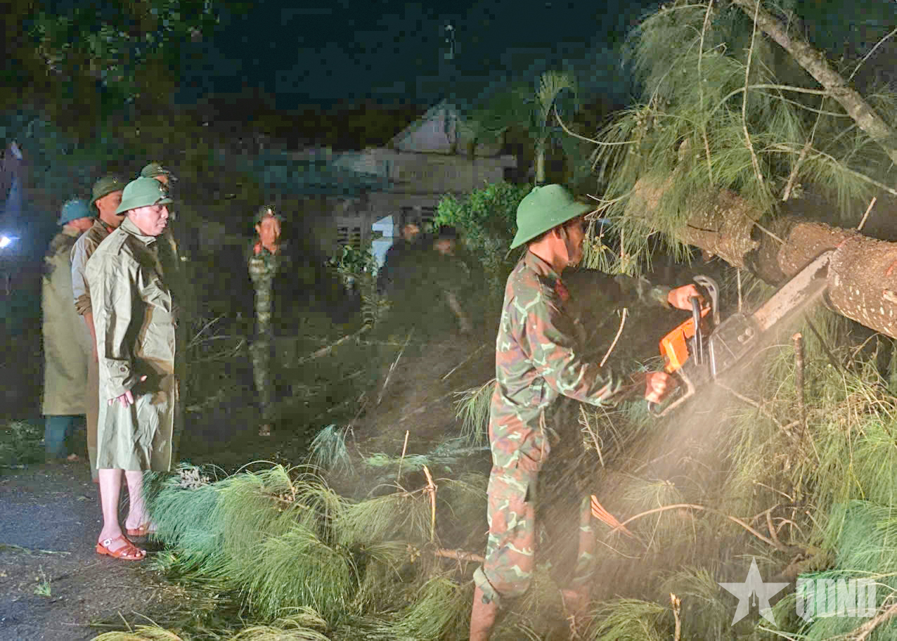 Lực lượng vũ trang tỉnh Gia Lai: Cắt tỉa, dọn dẹp cây gãy đổ, thông Quốc lộ 1A ngay trong đêm