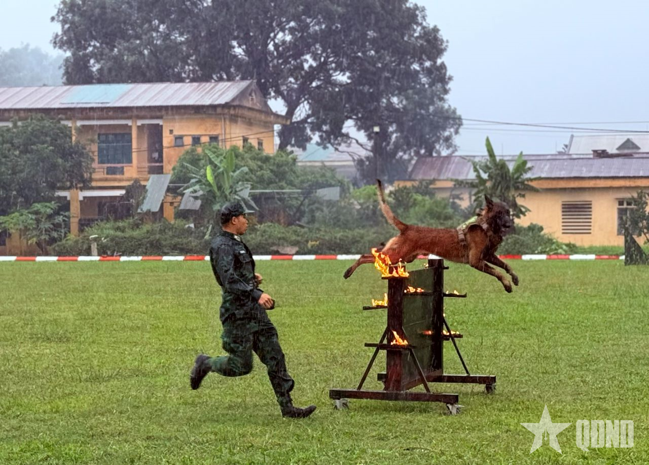 Trải nghiệm bổ ích ở Trường Trung cấp 24 Biên phòng