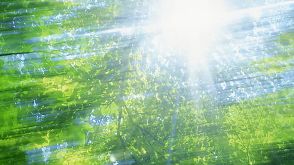 Ngày nắng ươm sương