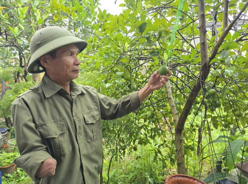 Phát huy ý chí, nghị lực Bộ đội Cụ Hồ