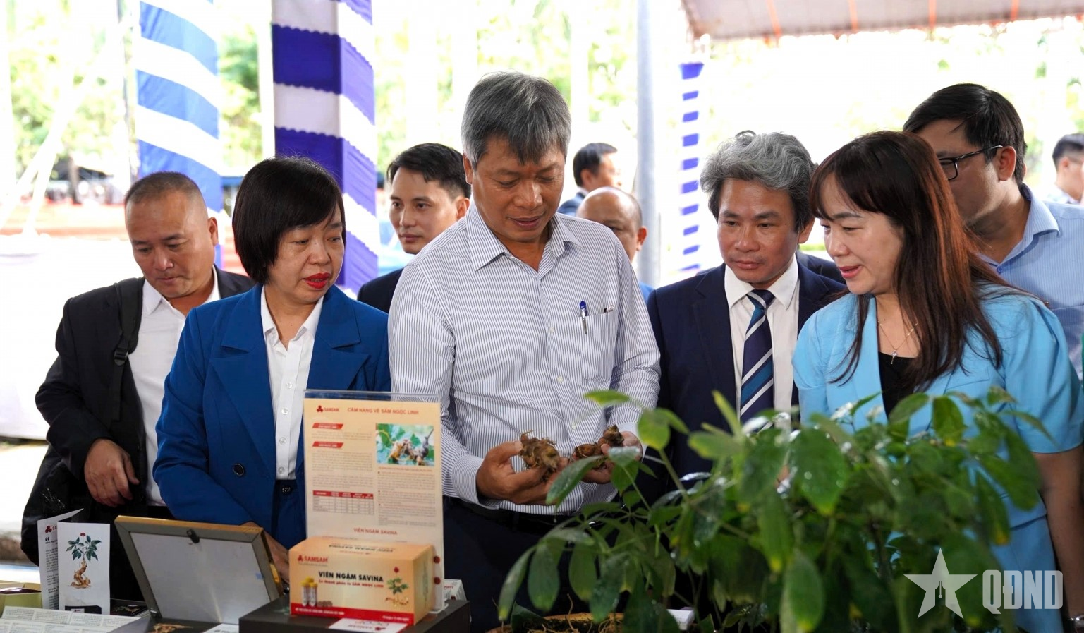 Đà Nẵng: Diễn đàn khởi nghiệp, đổi mới sáng tạo nông nghiệp - dược liệu 2025