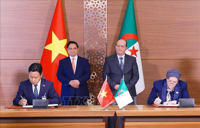 Thủ tướng Phạm Minh Chính hội đàm với Thủ tướng Algeria: Việt Nam - Algeria nâng cấp quan hệ lên Đối tác Chiến lược
