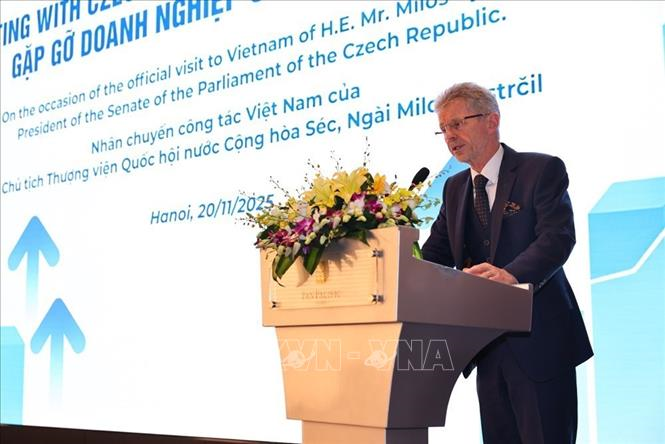 Chủ tịch Thượng viện Quốc hội Séc gặp gỡ doanh nghiệp hai nước

