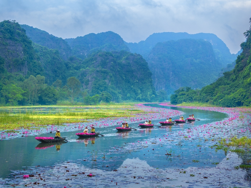 Sắc hồng Tam Cốc 2025-Bản tình ca mùa thu giữa lòng di sản Sắc hồng Tam Cốc 2025-Bản tình ca mùa thu giữa lòng di sản