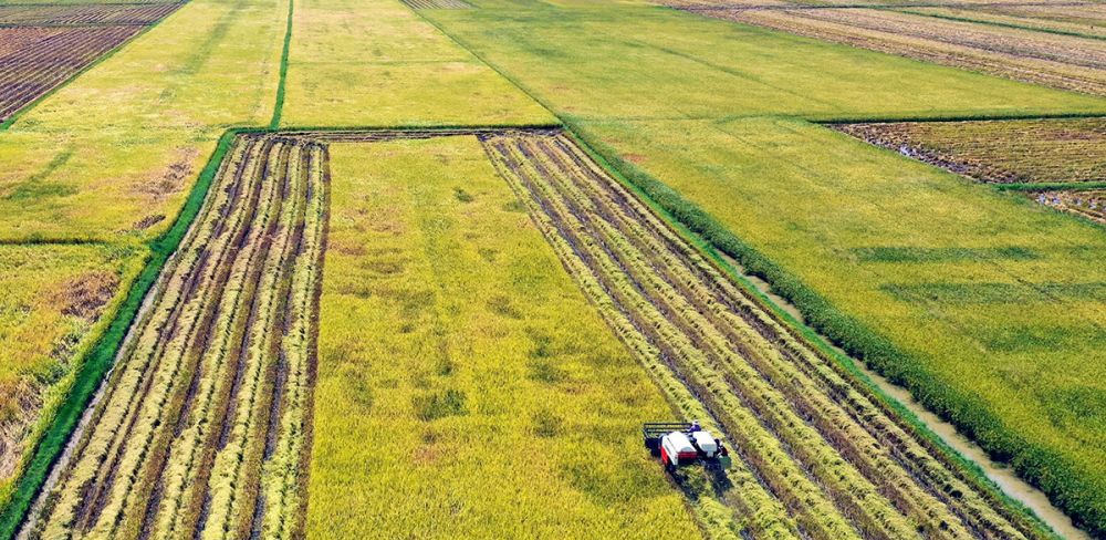 Khoa học và công nghệ là chìa khóa phát triển bền vững trước sự biến đổi khí hậu