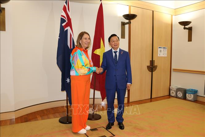 Tăng cường hợp tác thực chất giữa Việt Nam - New Zealand, Việt Nam - Australia