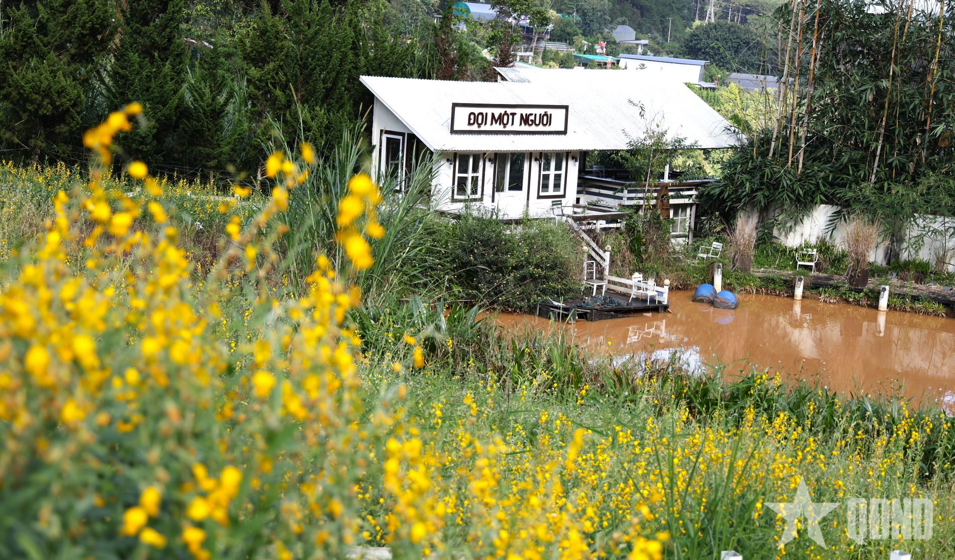 Khoảnh khắc cuối thu trên cao nguyên Lâm Đồng