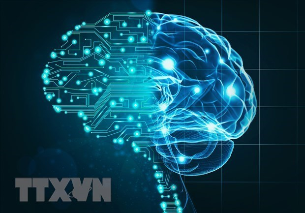 Khía cạnh xã hội và nhân quyền trong thiết lập lằn ranh đỏ về trí tuệ nhân tạo