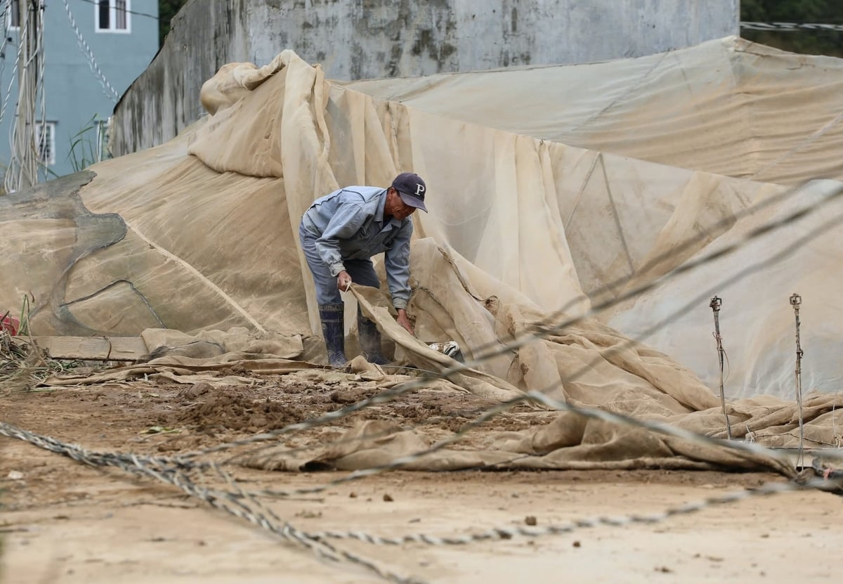 Học sinh của 59 trường chưa thể đi học do mưa lũ