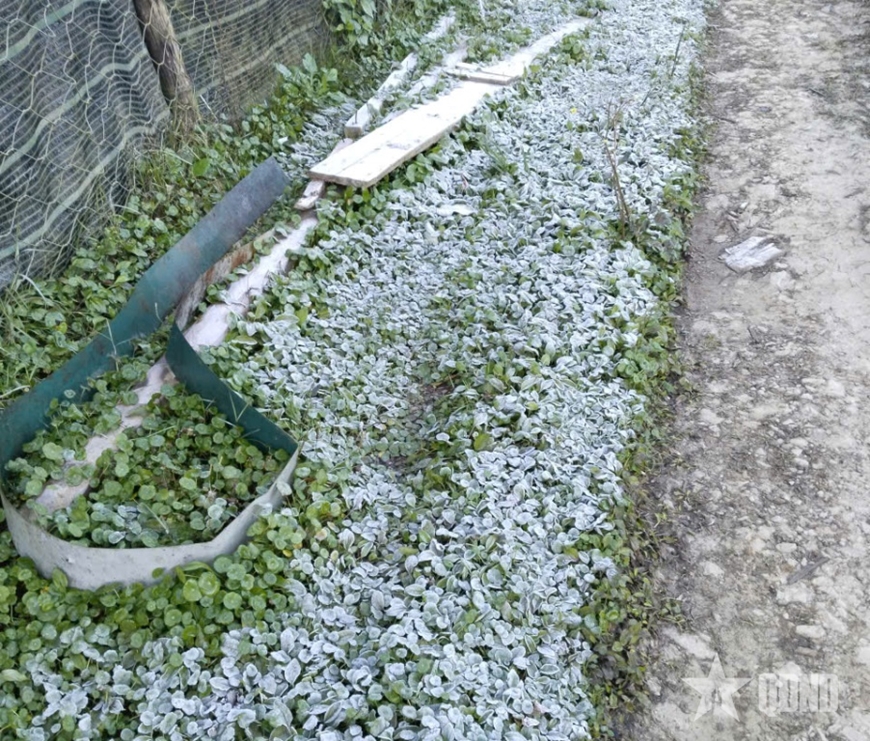 Nhiệt độ dưới 0&deg;C, băng gi&aacute; xuất hiện tại Na Ngoi (Nghệ An)