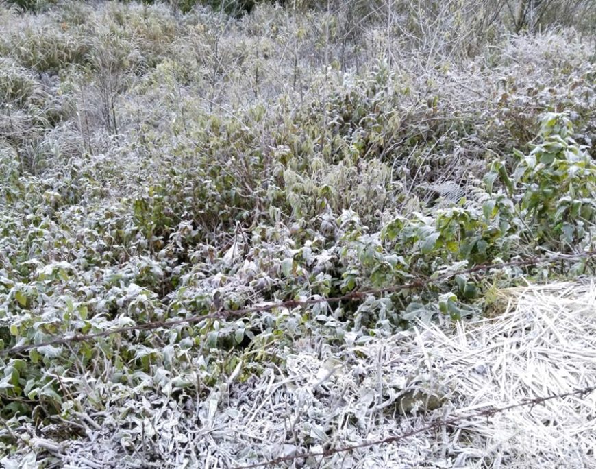 Nhiệt độ dưới 0&deg;C, băng gi&aacute; xuất hiện tại Na Ngoi (Nghệ An)