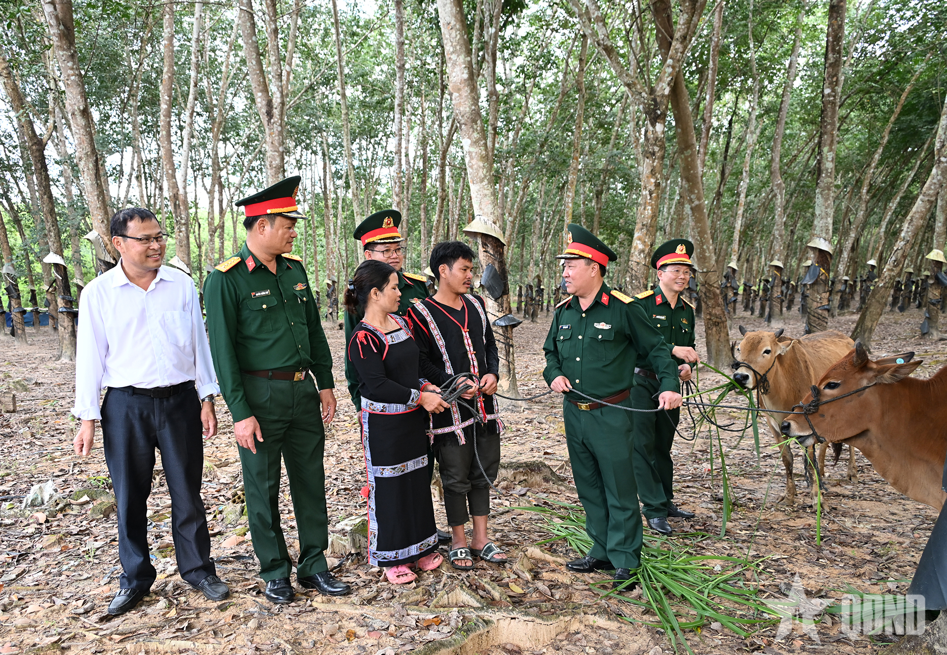 Đoàn Kinh tế - Quốc phòng 78 (Binh đoàn 15): Chăm lo an sinh xã hội vùng biên giới Mô Rai