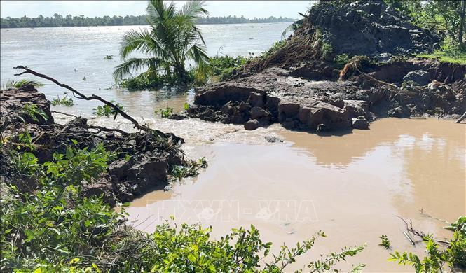 Vĩnh Long: Khắc phục kịp thời sạt lở cồn Thanh Long