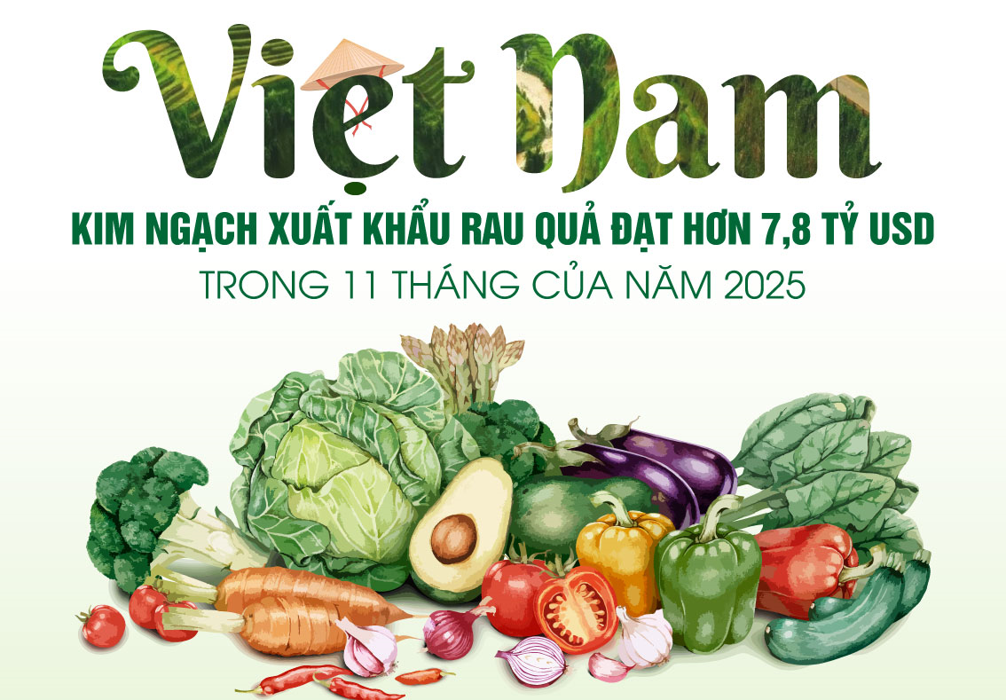 11 tháng năm 2025, Việt Nam xuất khẩu rau, quả hơn 7,8 tỷ USD