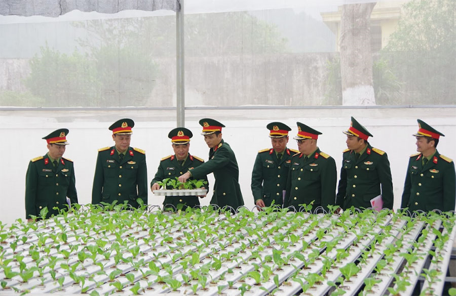 Quân khu 4: Kiểm tra, đánh giá kết quả Hội thi “Đơn vị tăng gia sản xuất giỏi” năm 2025 tại Lữ đoàn 414