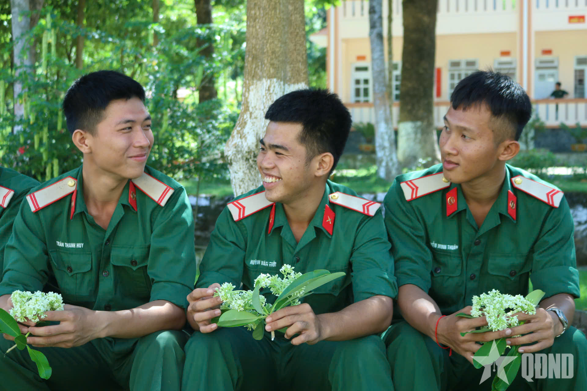 Nồng nàn hương hoa sữa giữa trời Nam