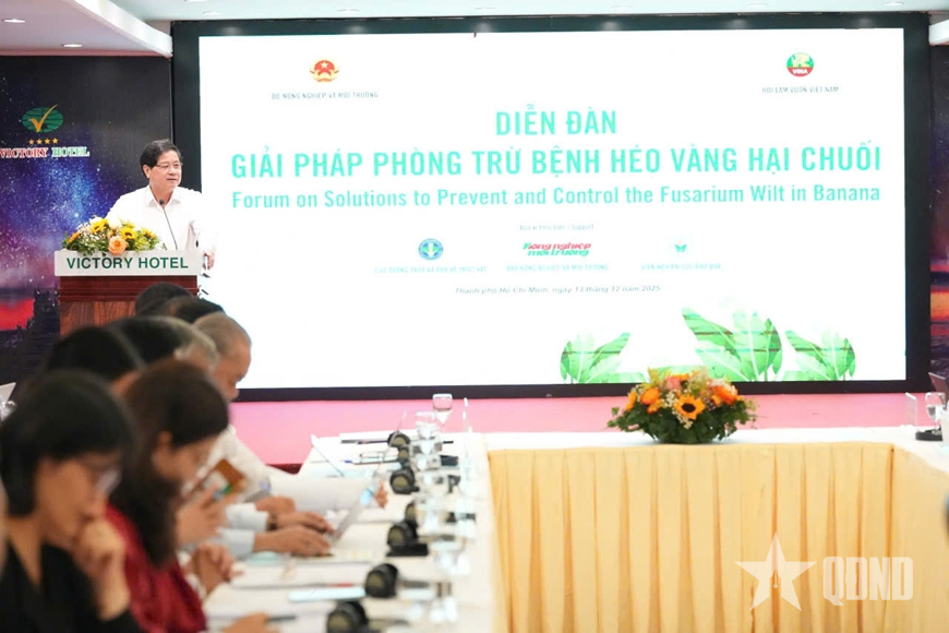 Tìm giải pháp bảo vệ, phát triển chuối - cây ăn trái chủ lực của Việt Nam