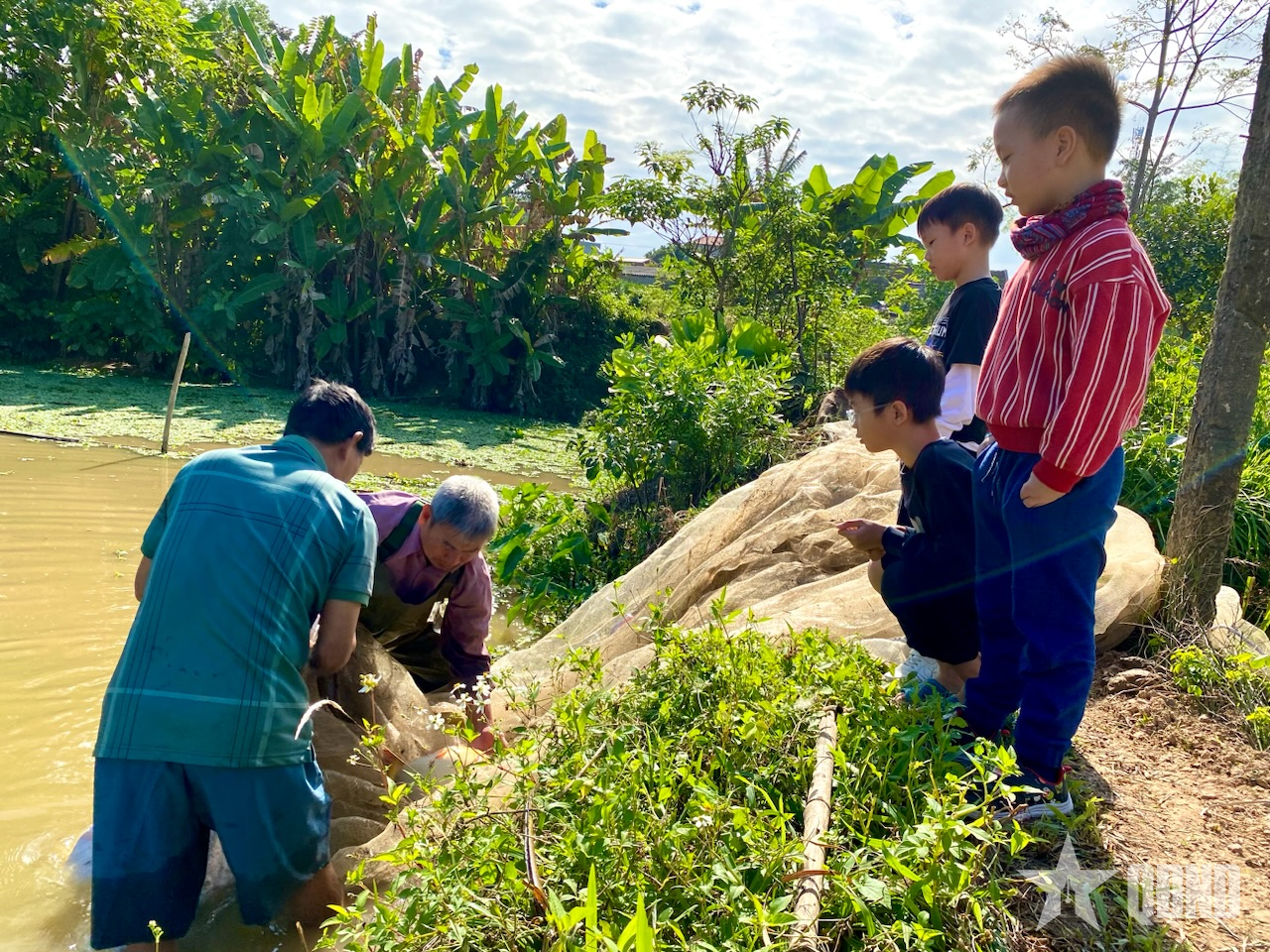 Lấm lem những buổi tát ao