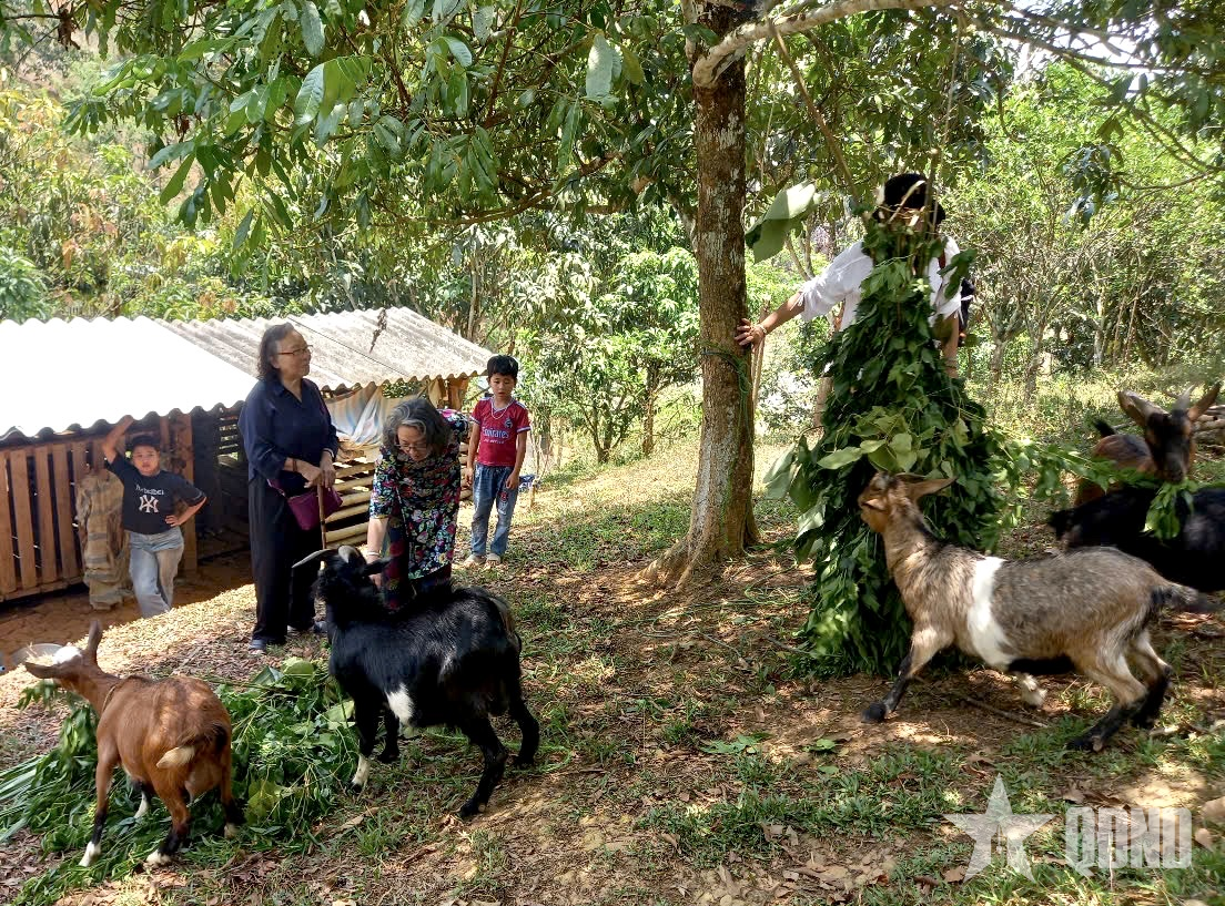 Thầy thuốc Nhân dân Nguyễn Kim Nữ Hiếu - Sáng ngời phẩm chất Bộ đội Cụ Hồ - Bài 2: Gieo mầm hy vọng nơi biên cương (tiếp theo và hết)